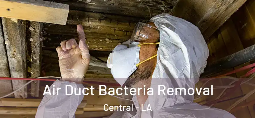 Air Duct Bacteria Removal Central - LA