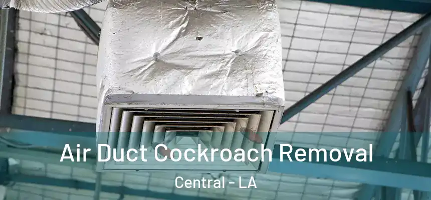 Air Duct Cockroach Removal Central - LA