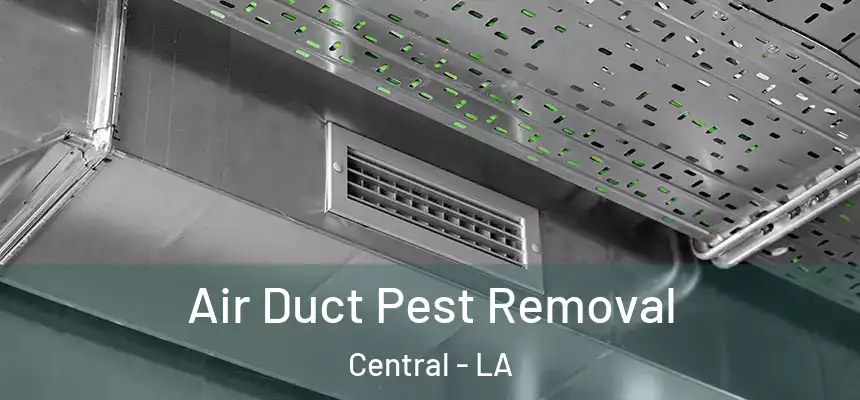  Air Duct Pest Removal Central - LA