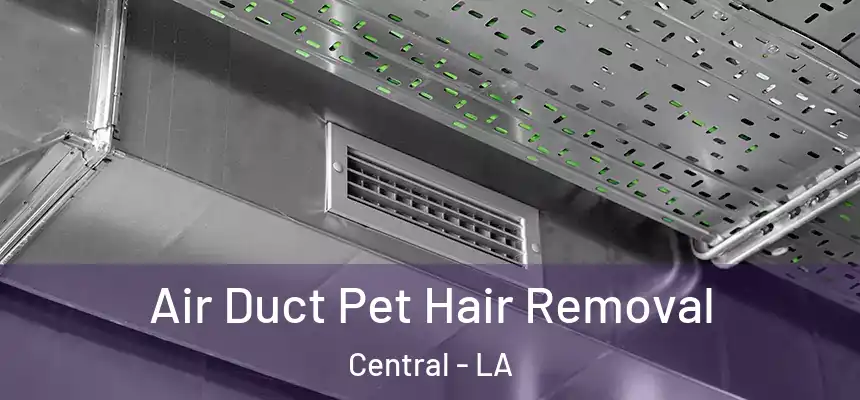 Air Duct Pet Hair Removal Central - LA