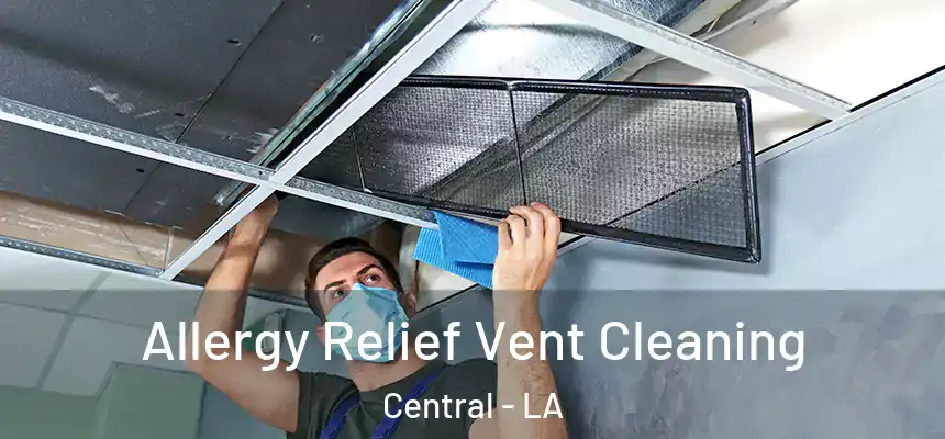 Allergy Relief Vent Cleaning Central - LA