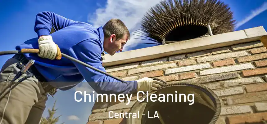 Chimney Cleaning Central - LA