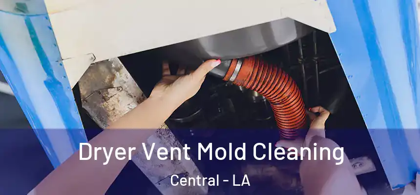  Dryer Vent Mold Cleaning Central - LA