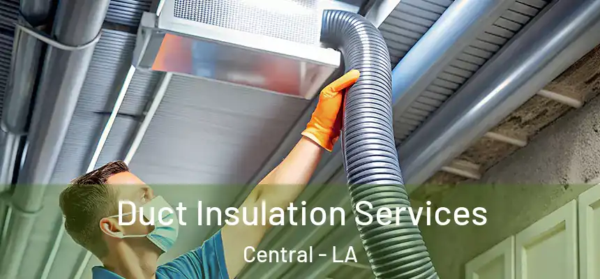 Duct Insulation Services Central - LA