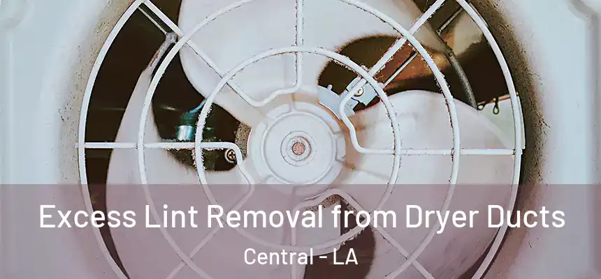 Excess Lint Removal from Dryer Ducts Central - LA