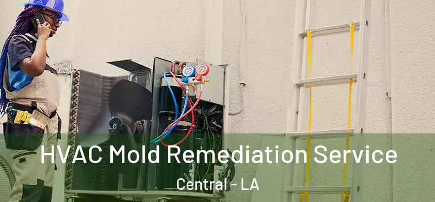 HVAC Mold Remediation Service Central - LA