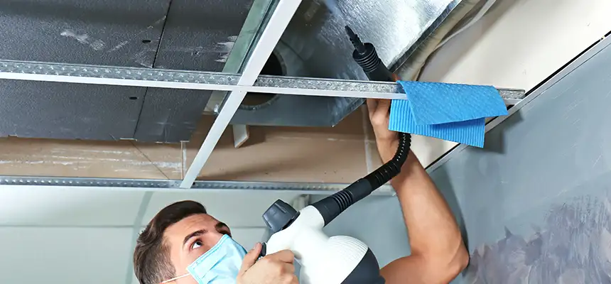 Our Air Duct Rodent Removal Services in Central, LA