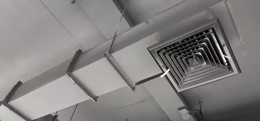 Our Rodent Droppings In Vents Services in Central, LA