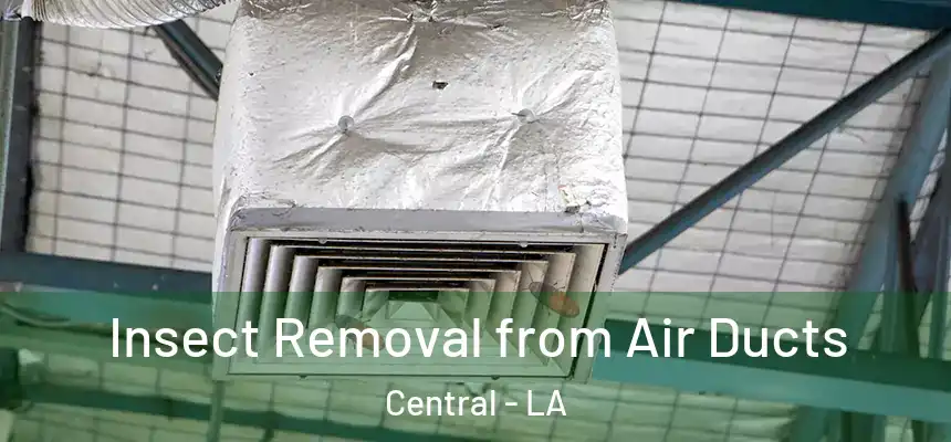 Insect Removal from Air Ducts Central - LA