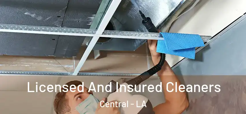 Licensed And Insured Cleaners Central - LA