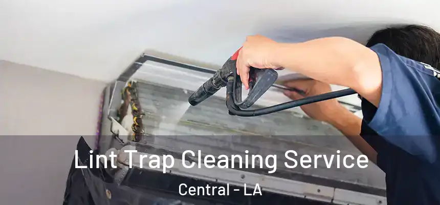  Lint Trap Cleaning Service Central - LA
