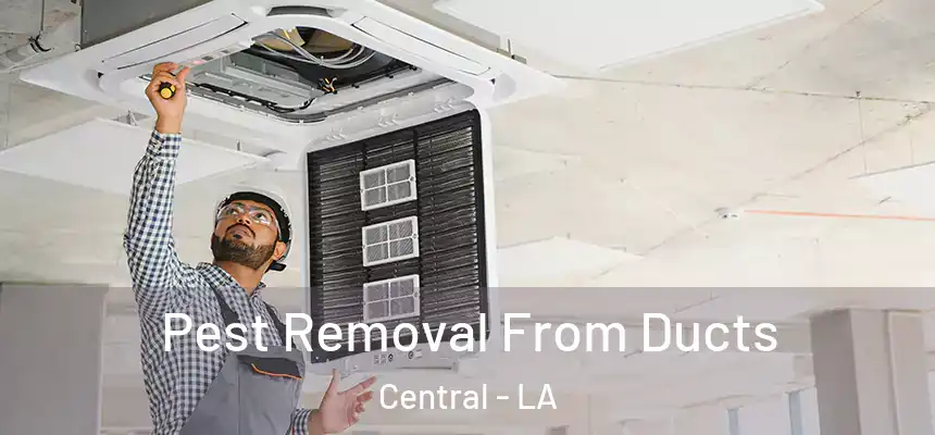 Pest Removal From Ducts Central - LA