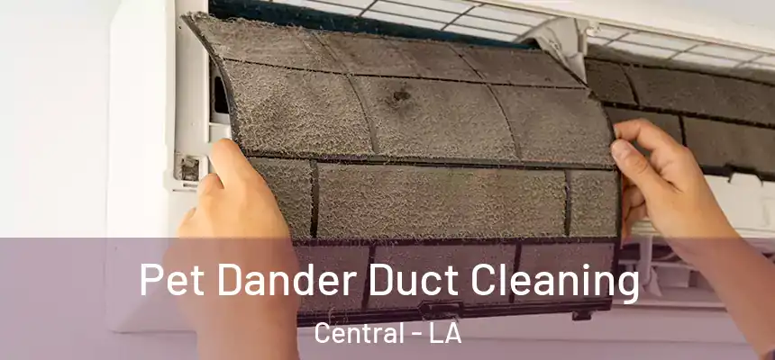  Pet Dander Duct Cleaning Central - LA