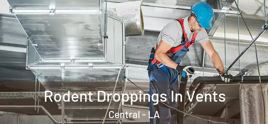  Rodent Droppings In Vents Central - LA
