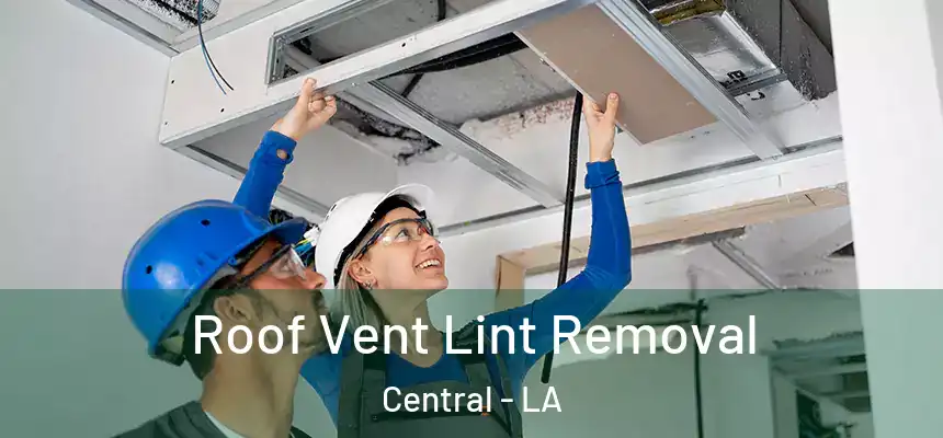 Roof Vent Lint Removal Central - LA