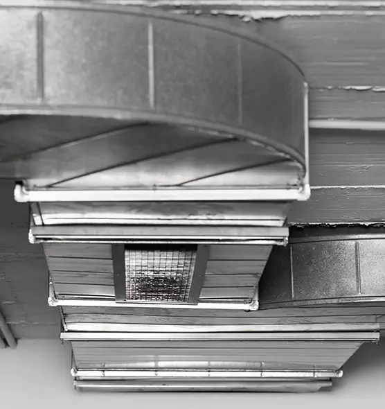 Professional Air Duct Pet Hair Removal in Central, LA