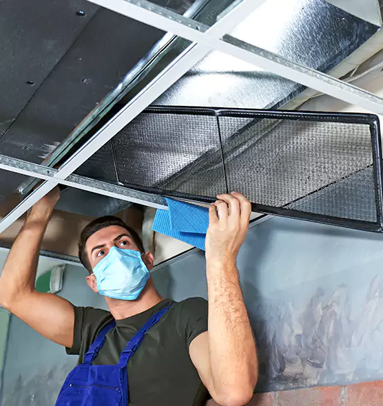 Professional Air Duct Pollen Cleaning in Central, LA