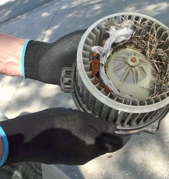 About Air Duct Rat Removal in Central, LA