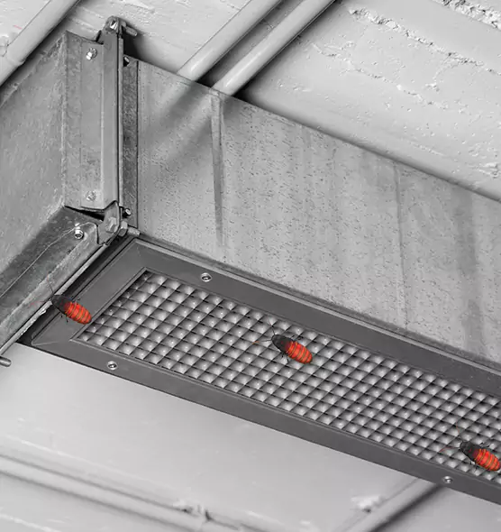 Affordable Insect Removal from Air Ducts in Central, LA
