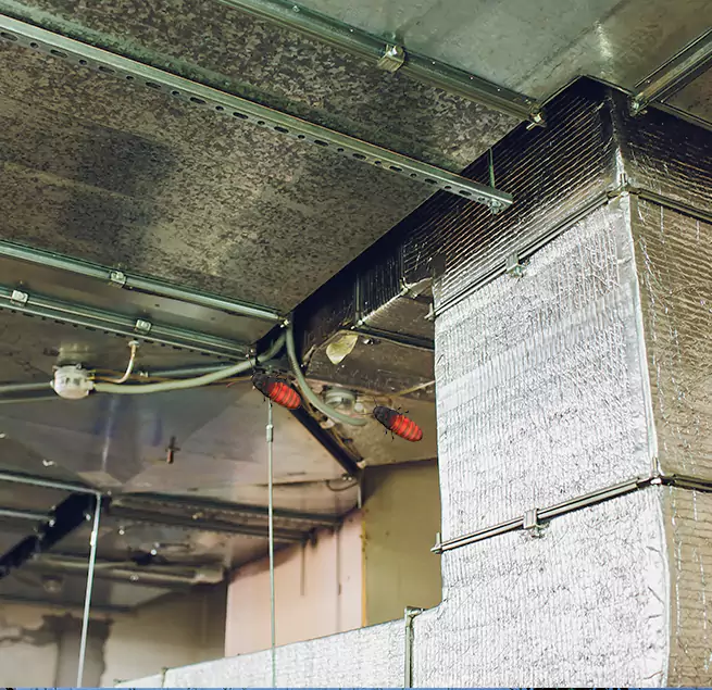 Why Homeowners & Businesses Trust Us in Central, LA?