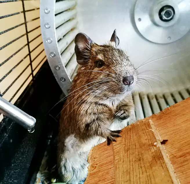 Why Homeowners & Businesses Trust Us Central, LA?