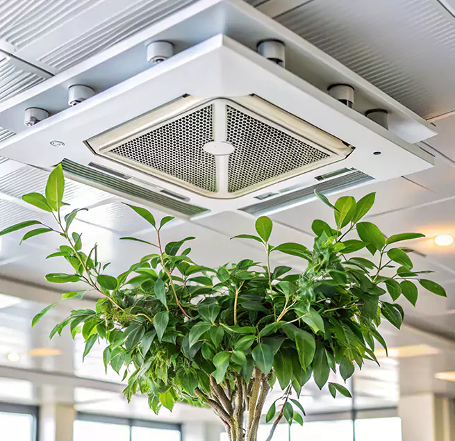 Why Homeowners & Businesses Trust Us in Central, LA