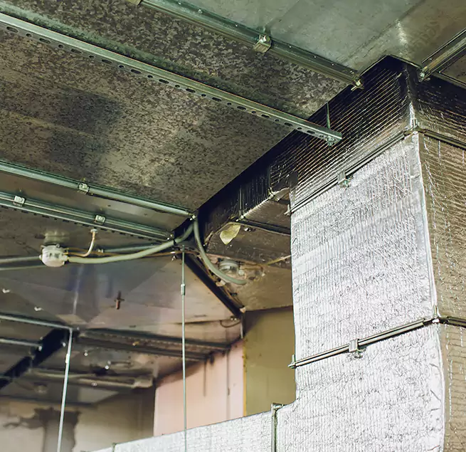 Why Homeowners & Businesses Trust Us in Central, LA?