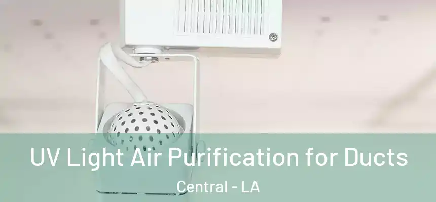  UV Light Air Purification for Ducts Central - LA